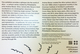 "About Alice" Written by Leah Douglas, Chief Curator of the Philadelphia International Airport