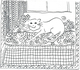 Cat_1